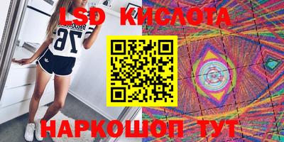 крисы Гай