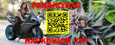 крисы Гай