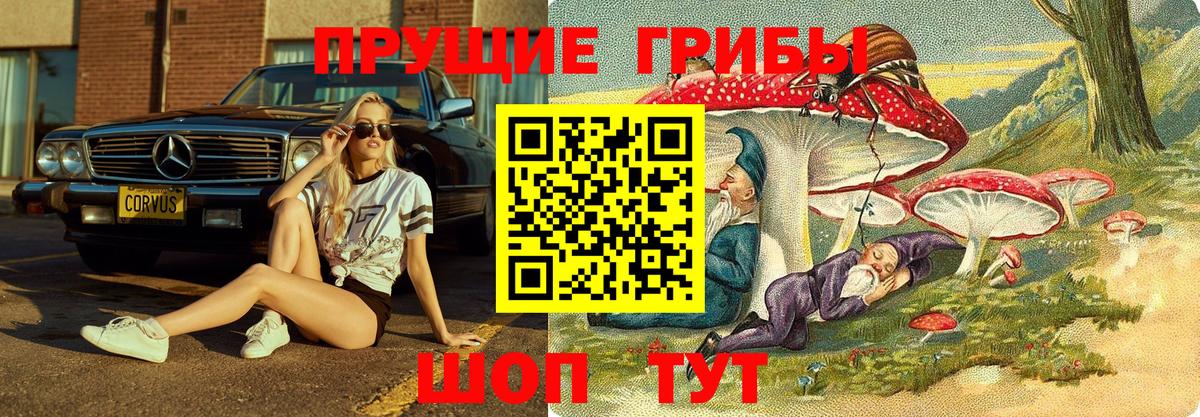 Псилоцибиновые грибы GOLDEN TEACHER Кировск