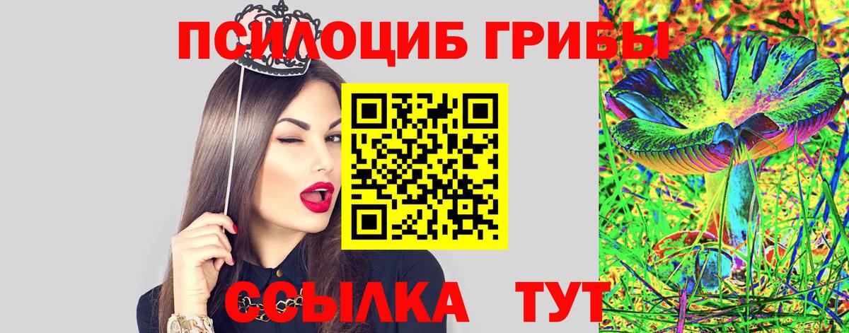 Кировск  Псилоцибиновые грибы ЛСД  где купить наркотик  Вход с VPN 